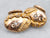 Bloomed Gold Art Nouveau Diamond Starburst Cufflinks