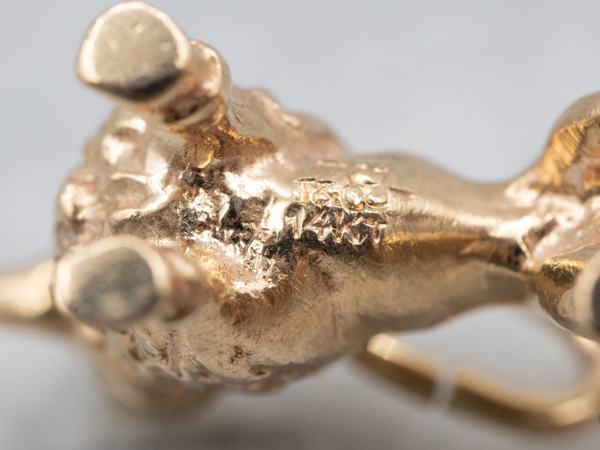 Charm caniche de oro amarillo amante de los perros