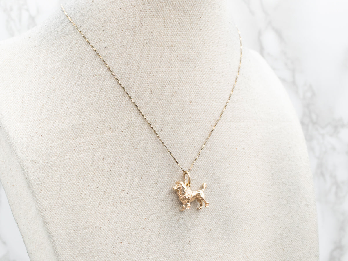 Charm caniche de oro amarillo amante de los perros