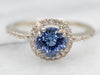 Beautiful White Gold Sapphire Engagement Ring with Diamond Halo and Diamond Shoulders