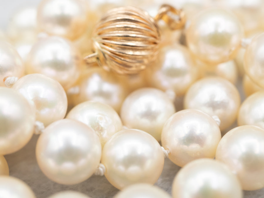 Elegant Yellow Gold Saltwater Pearl Strand Necklace