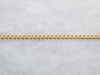 Dainty Gold Curb Chain with Lobster Clasp