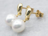 Yellow Gold Saltwater Pearl Drop Earrings