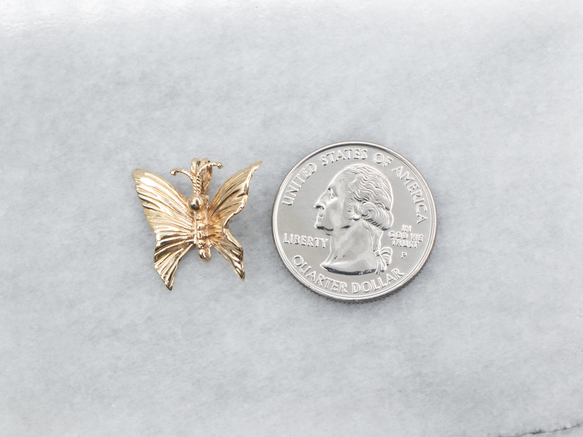 Colgante Mariposa de Oro