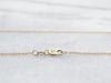 Yellow Gold Rolo Chain with Lobster Clasp