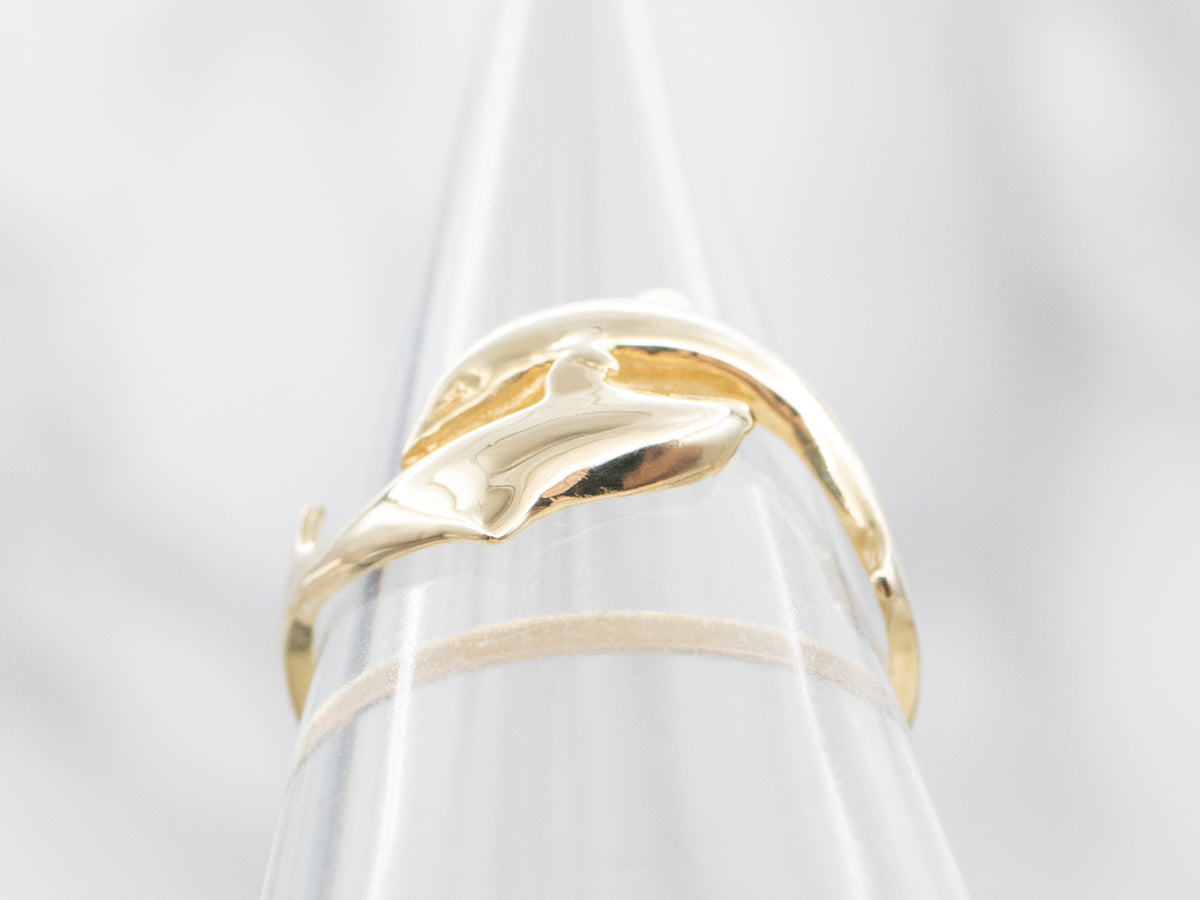 Anillo de derivación de delfines