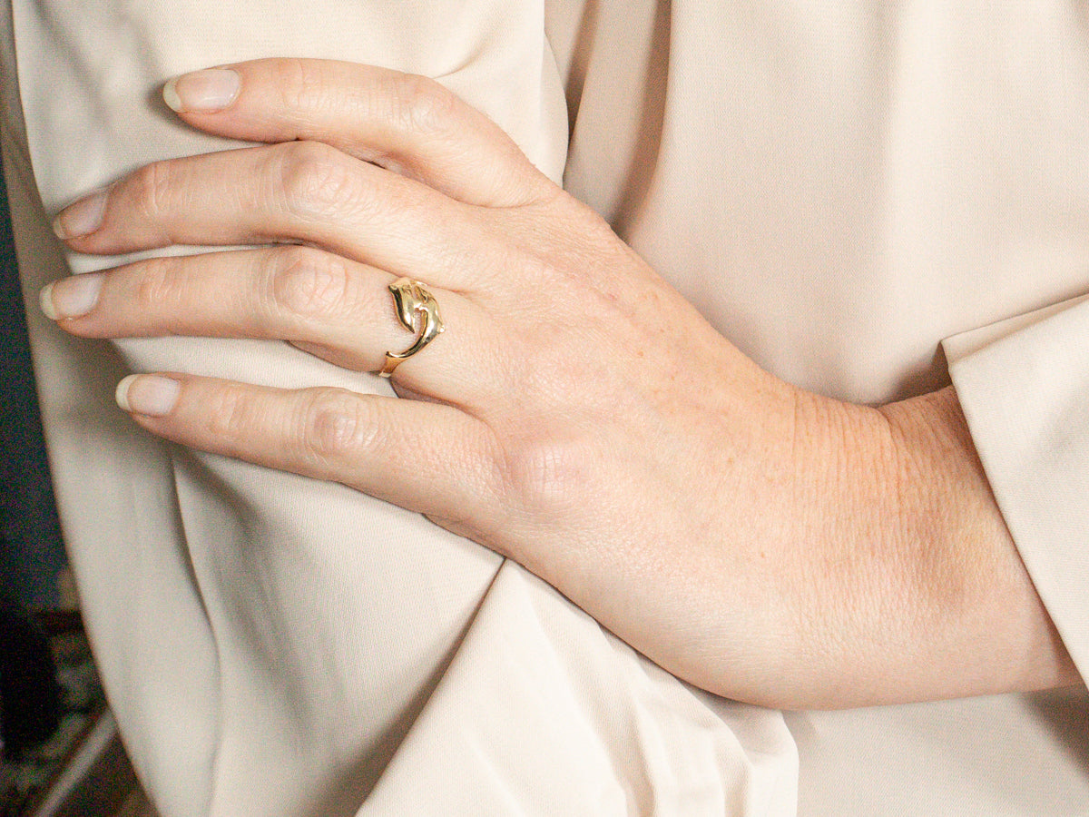 Anillo de derivación de delfines