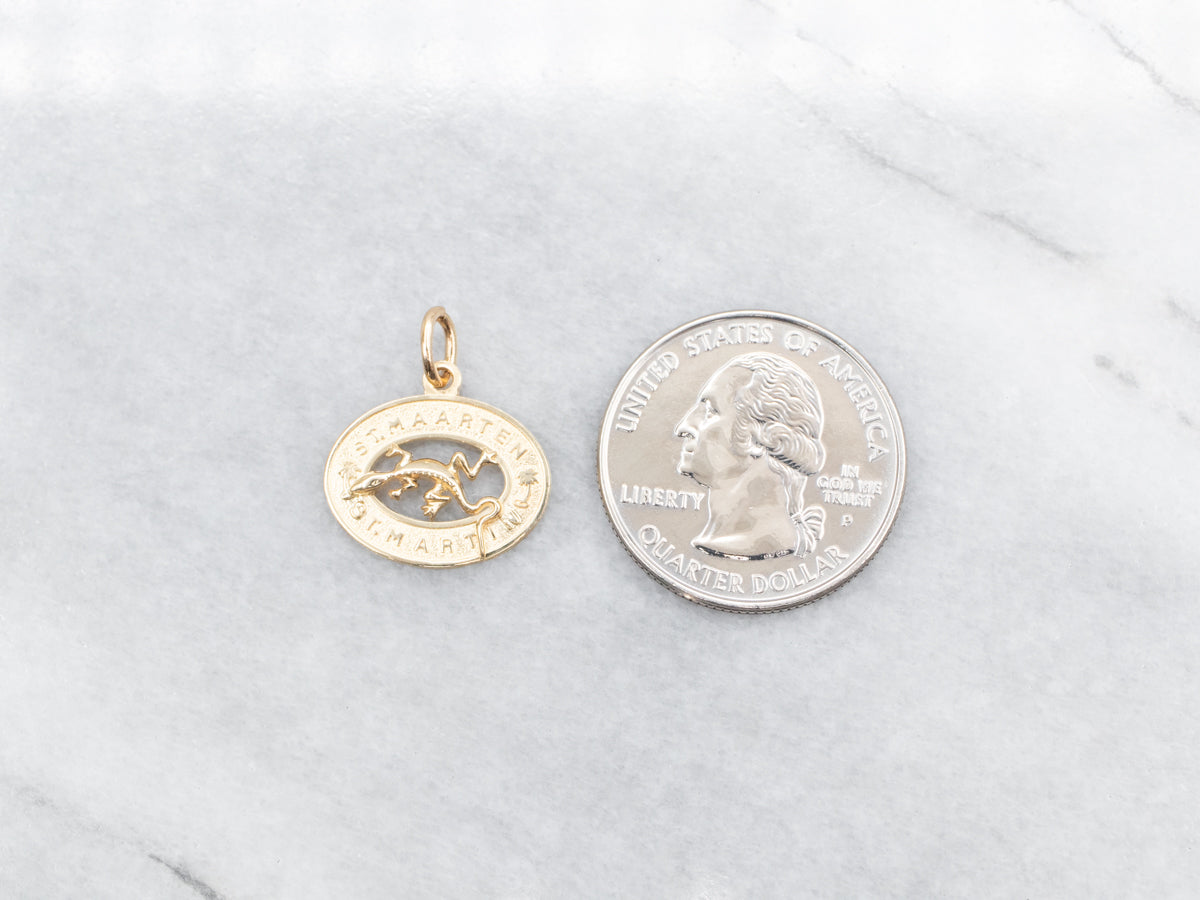 Encanto o colgante de lagarto de recuerdo de San Martín de oro
