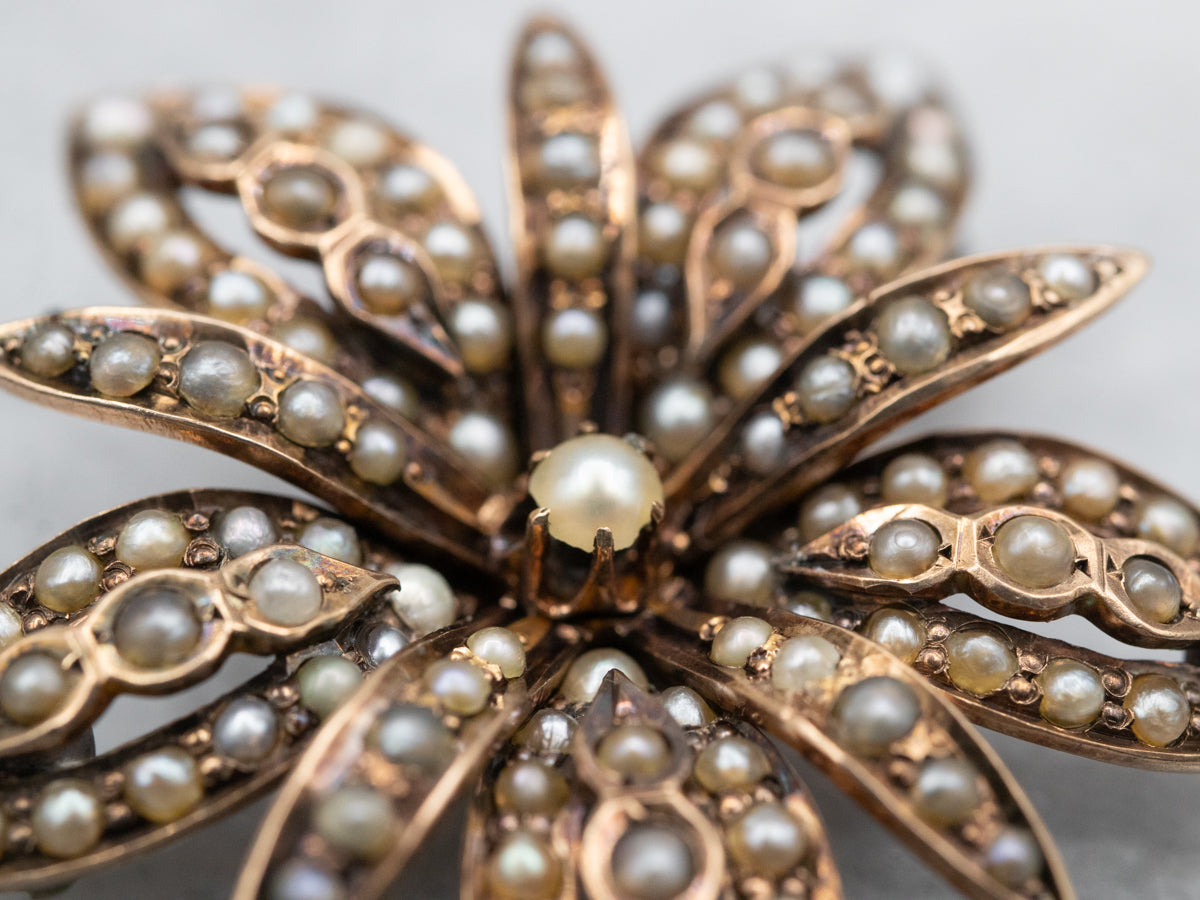 Victorian Seed Pearl Flower Pin