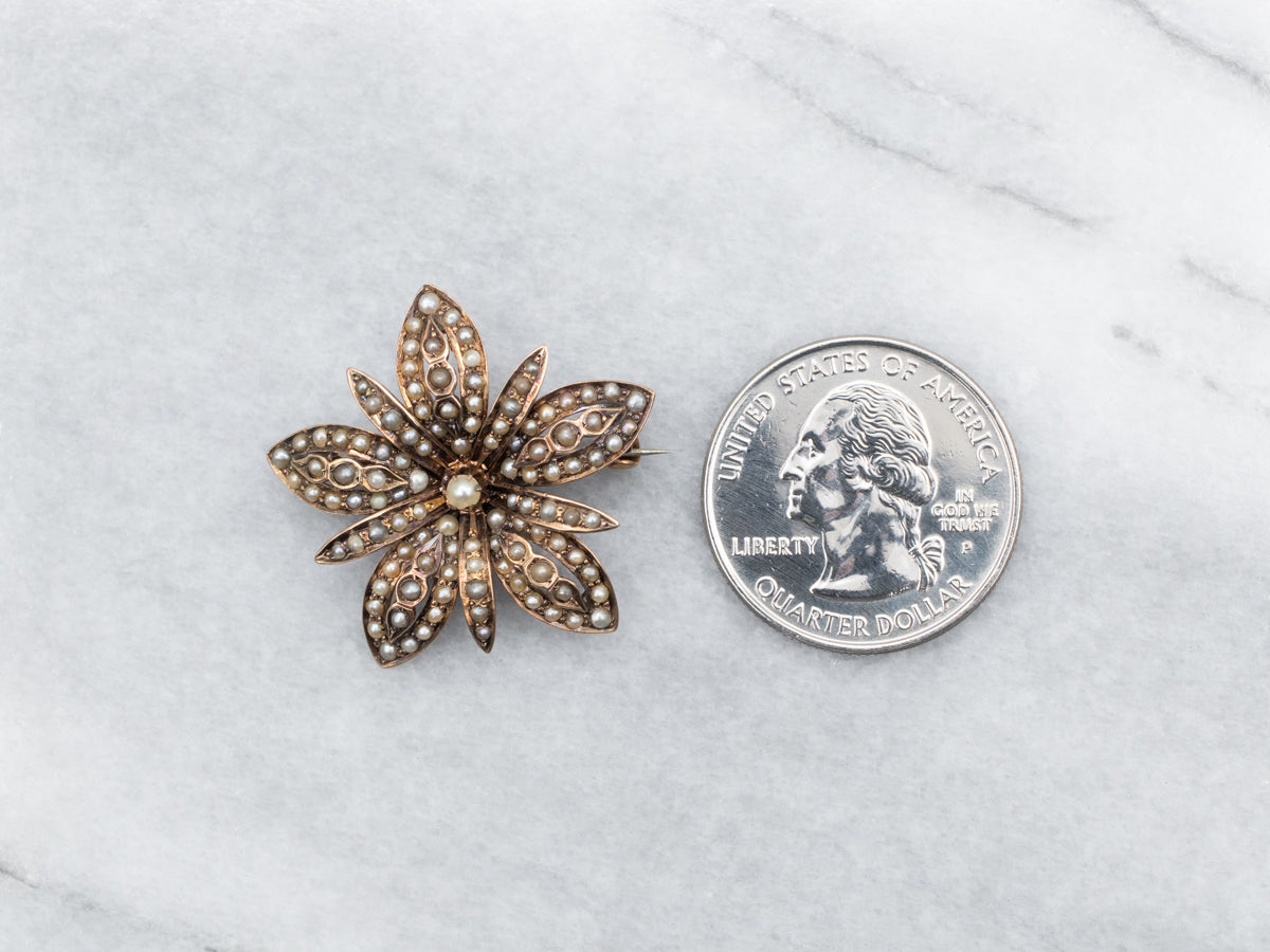 Victorian Seed Pearl Flower Pin