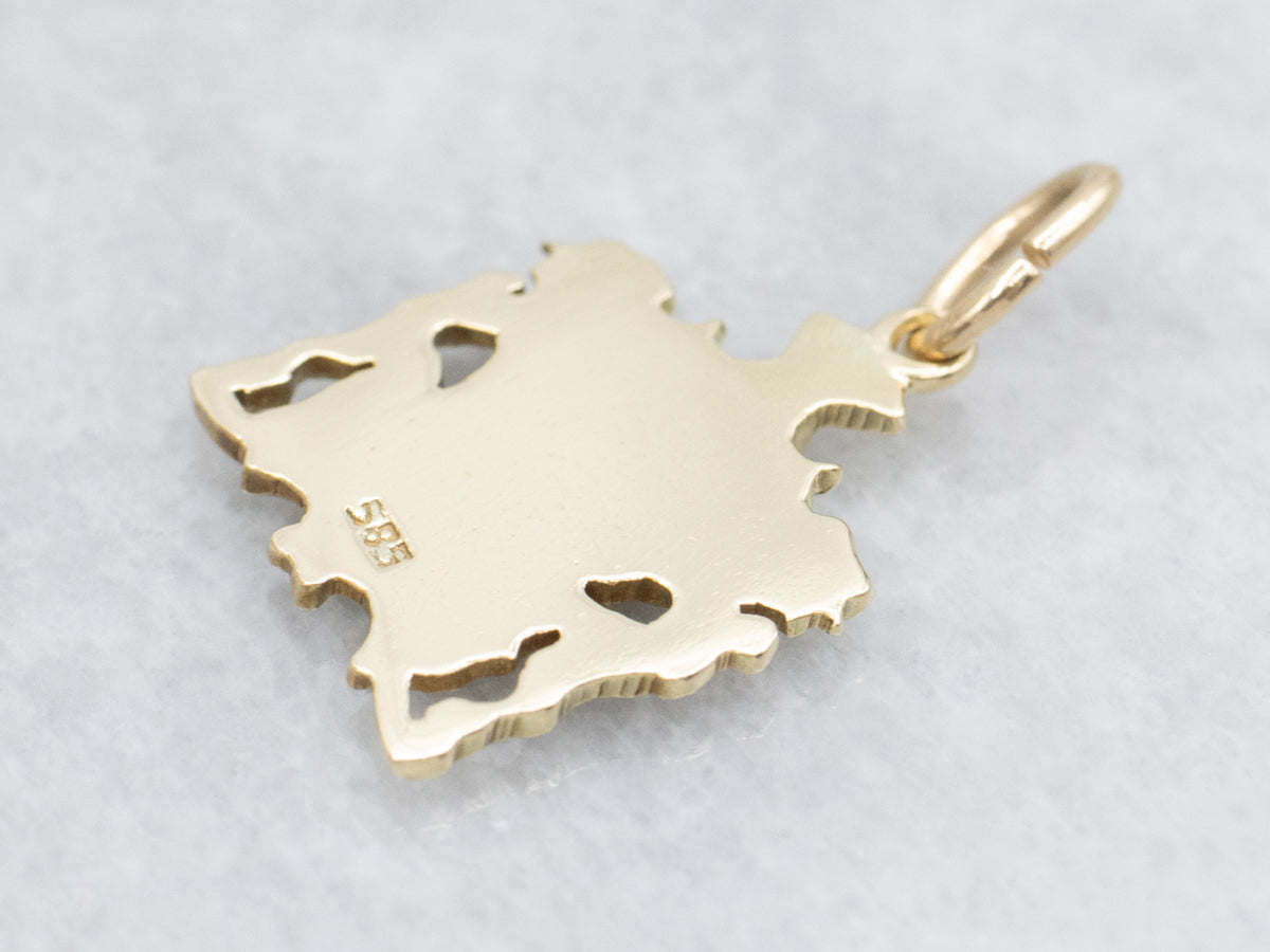 Vintage Gold and Enamel Germanic Coat of Arms Charm