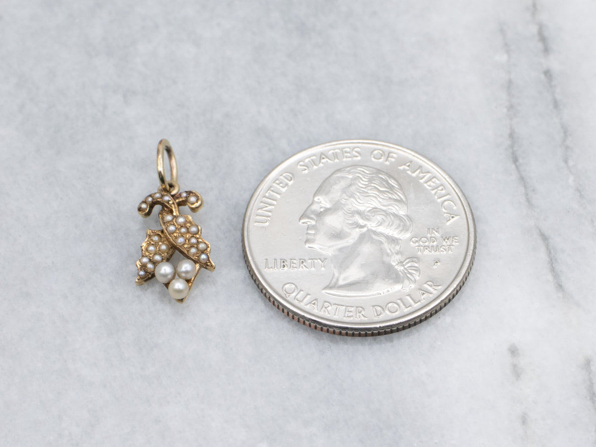 Antique Seed Pearl Seed Pod Stickpin Conversion Pendant