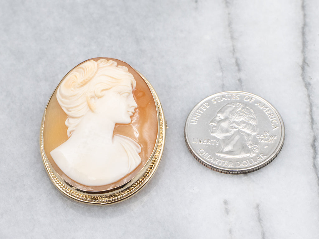 Mid-Century Cameo Yellow Gold Pin and Pendant