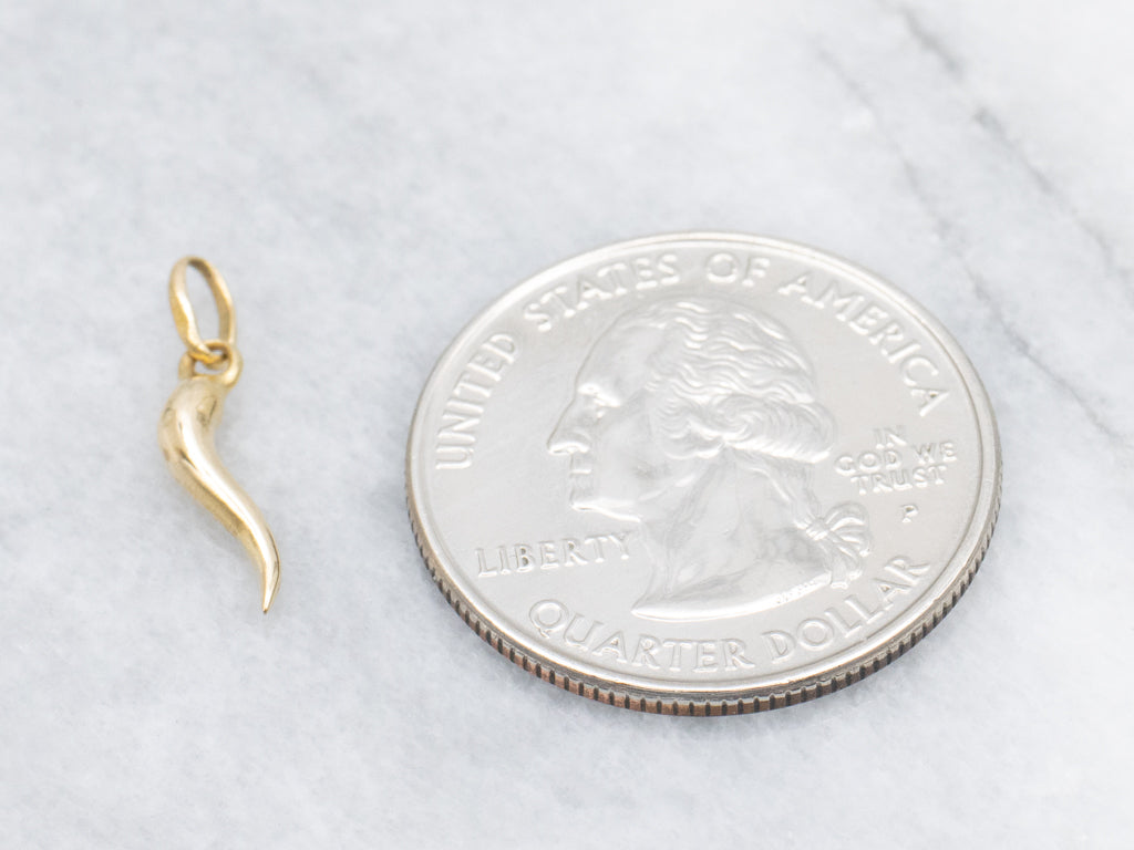 Mini Yellow Gold Italian Horn Charm Pendant