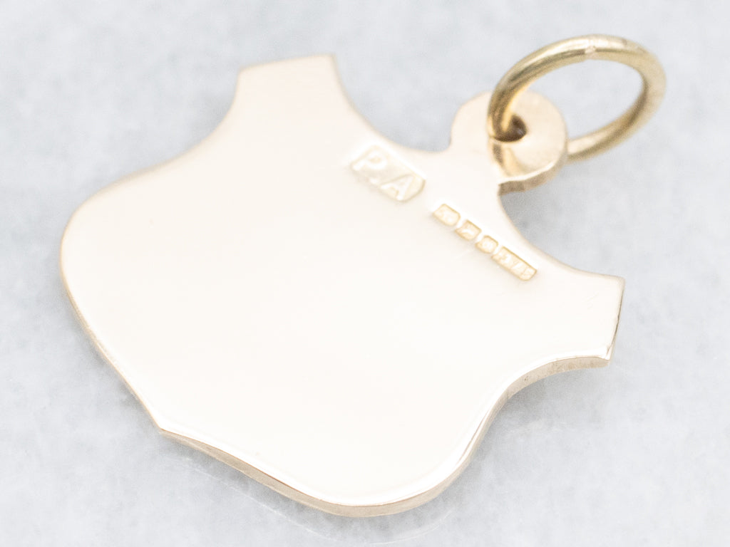 Engraved Gold Lion Shield Pendant