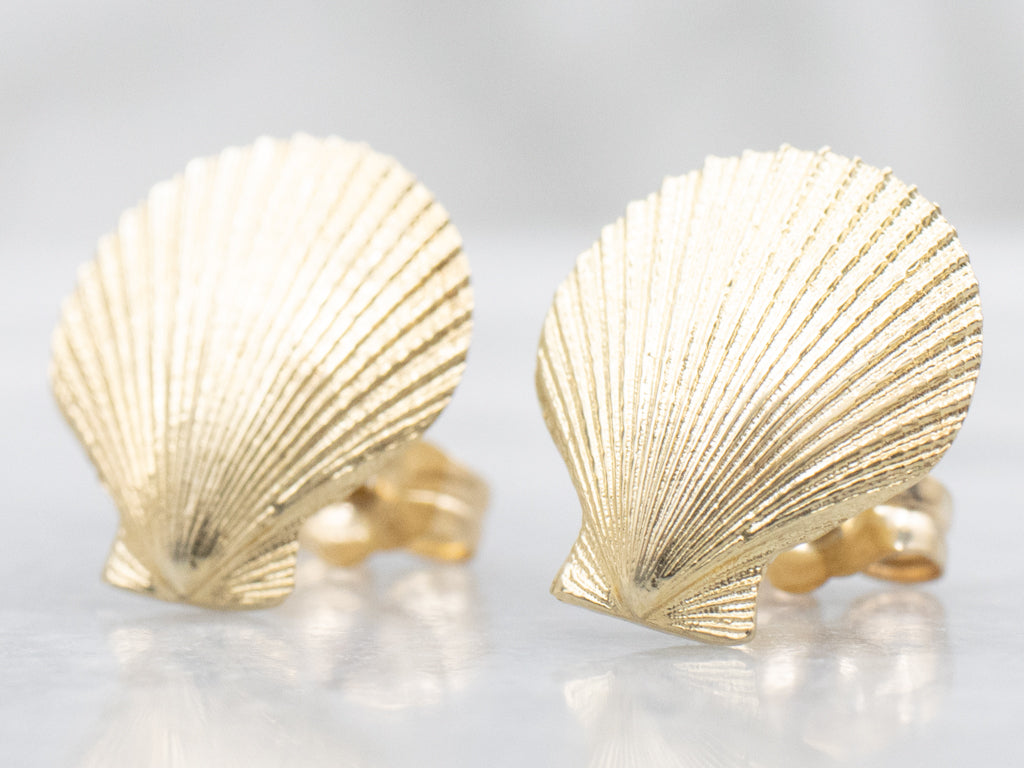 Yellow Gold Scallop Shell Stud Earrings