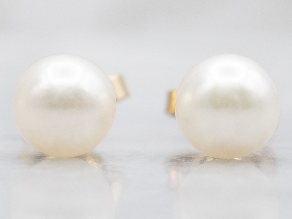 Saltwater Pearl Yellow Gold Stud Earrings