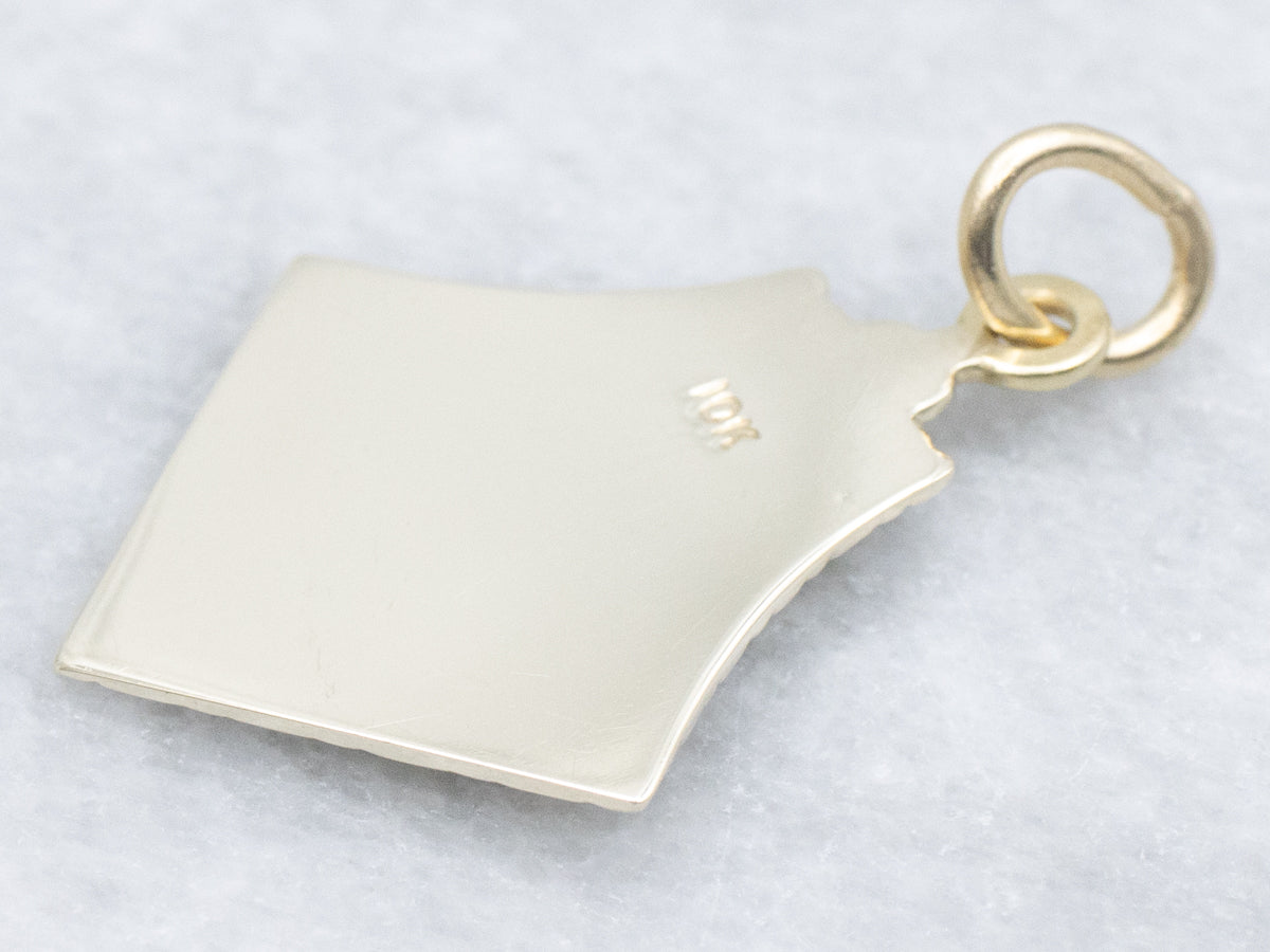 Vintage Gold and Enamel Masonic Pendant
