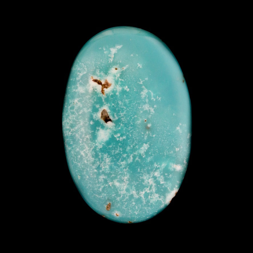 hummingbird turquoise