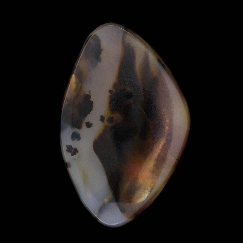 montana agate