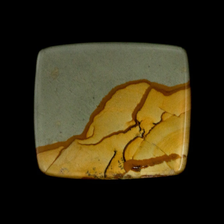 owyhee picture jasper
