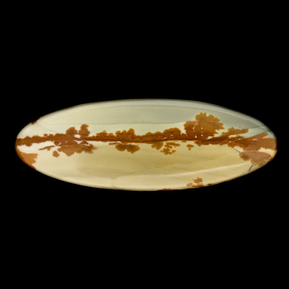 owyhee picture jasper