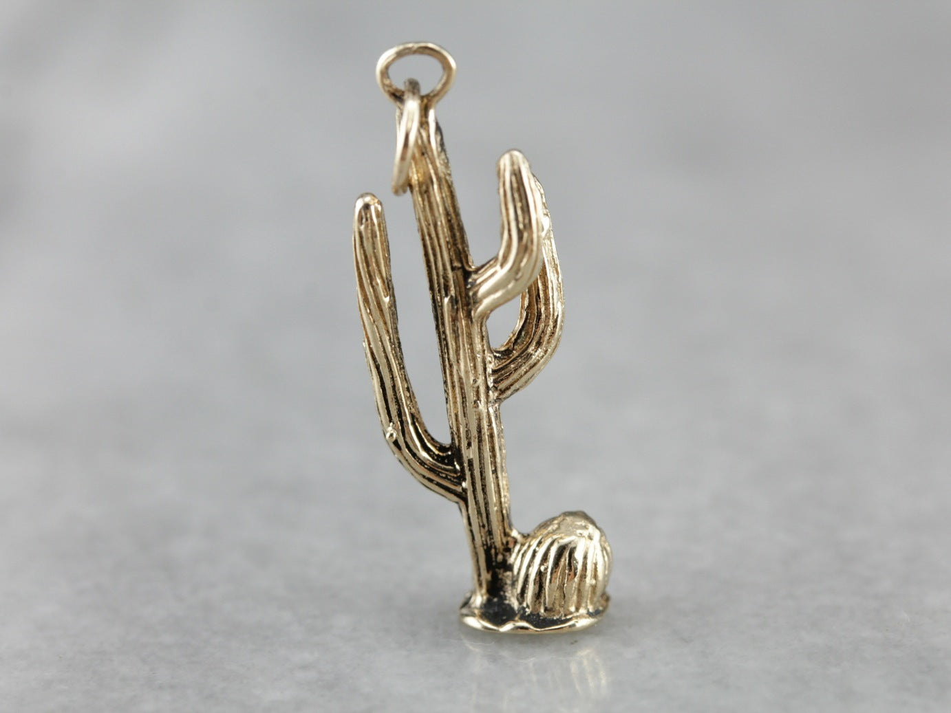 Detailed Desert Cactus Pendant Charm