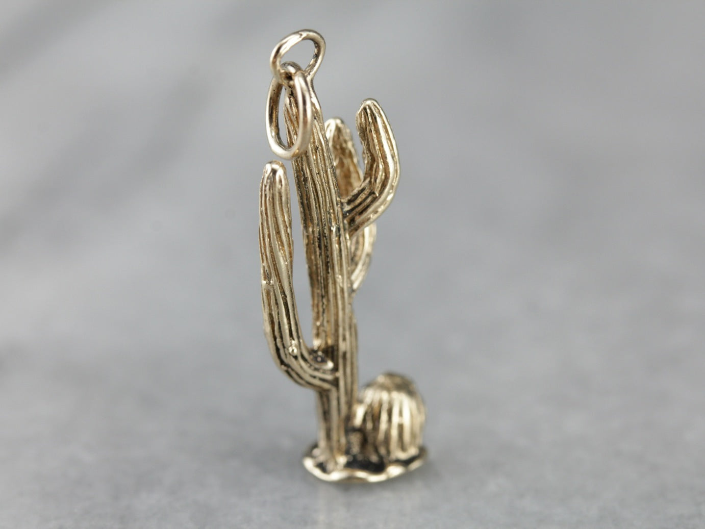 Detailed Desert Cactus Pendant Charm