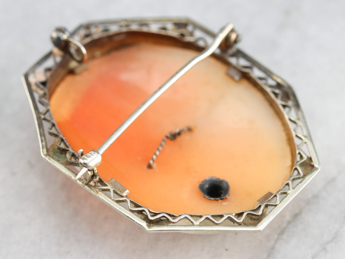 Art Deco Diamond Cameo Pin or Pendant
