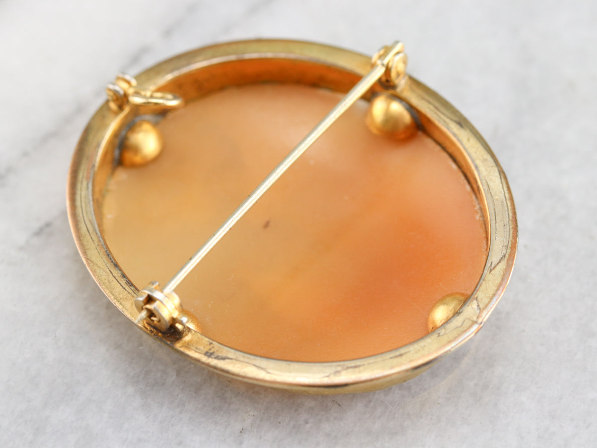 Vintage Cameo Pin or Pendant