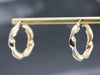 Twisted Gold Ribbon Hoop Earrings