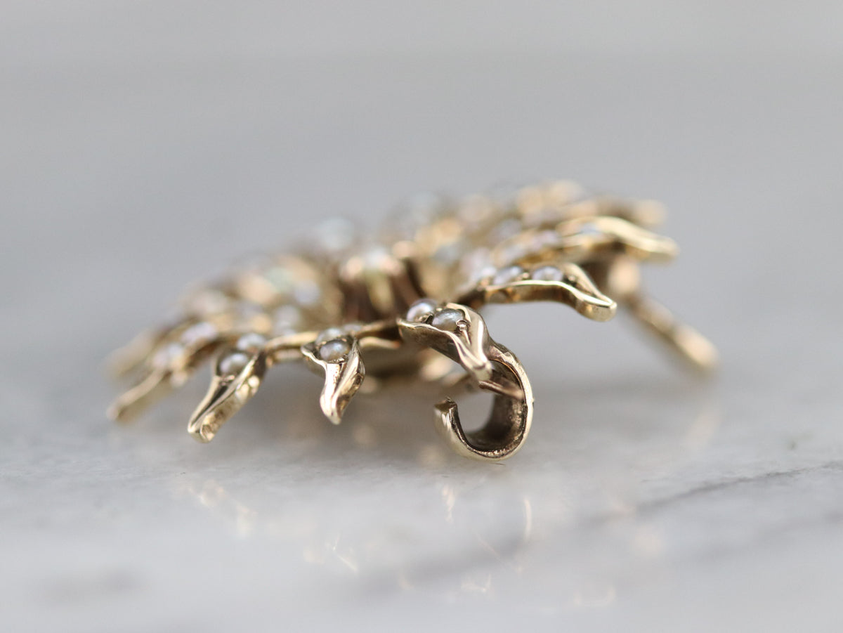 Victorian Seed Pearl Starburst Pin or Pendant