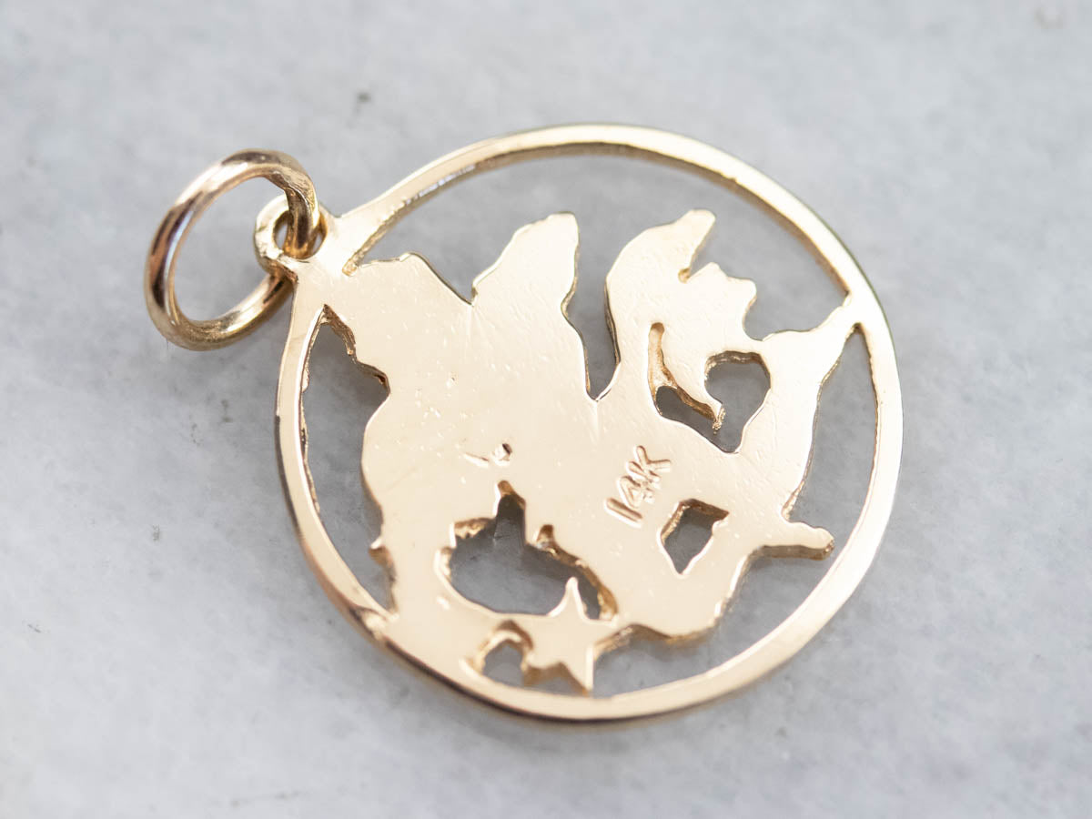 Vintage Golden Aquarius Pendant