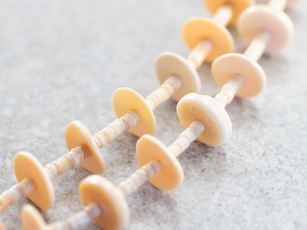 Native American Shell Bead Necklace and Bracelet Set