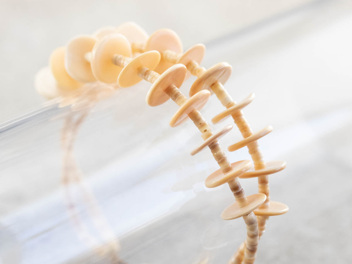 Native American Shell Bead Necklace and Bracelet Set