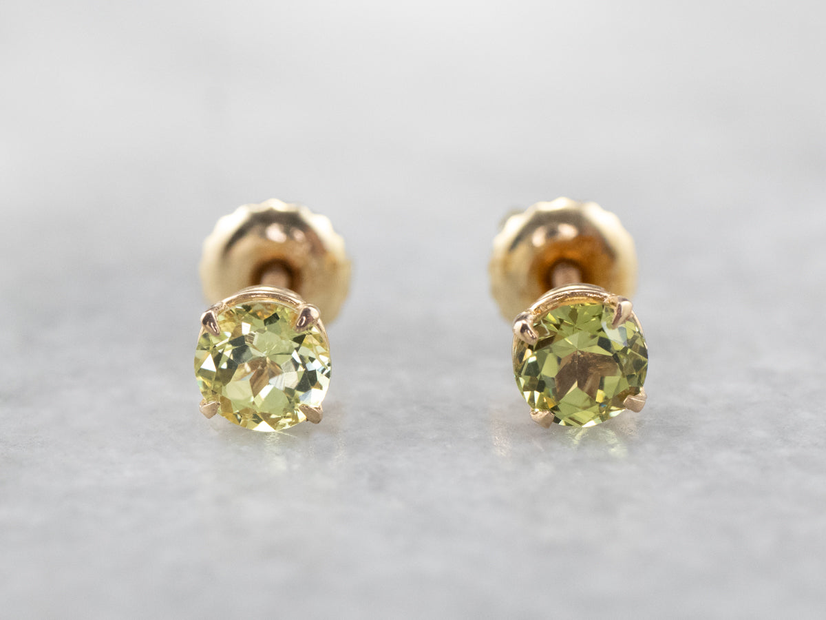 Screw Back Mali Garnet Stud Earrings