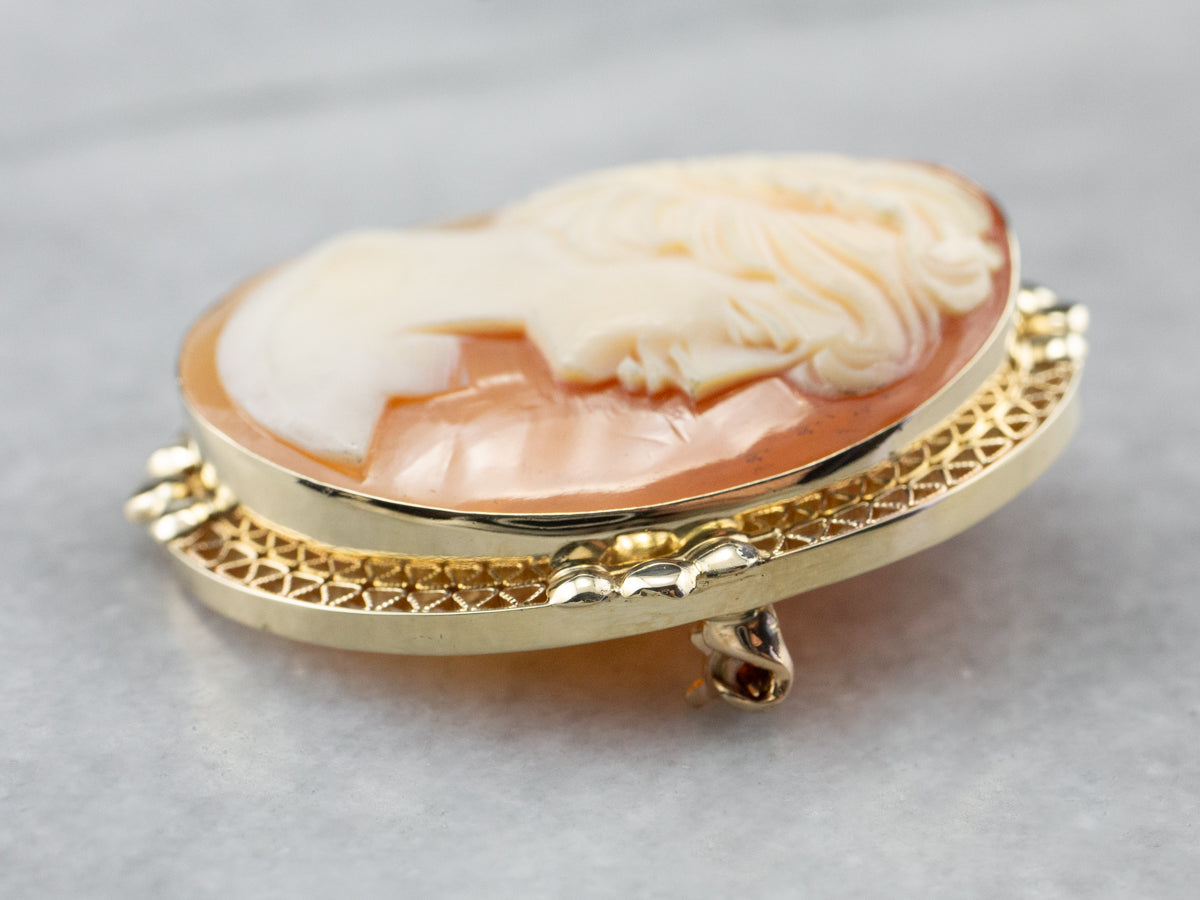 Gold Retro Era Cameo Pin or Pendant