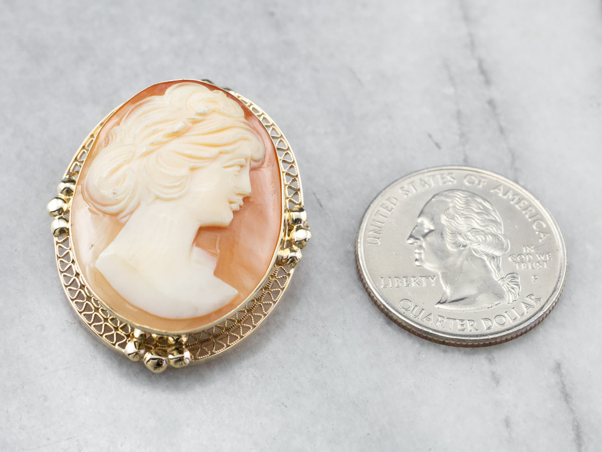 Gold Retro Era Cameo Pin or Pendant