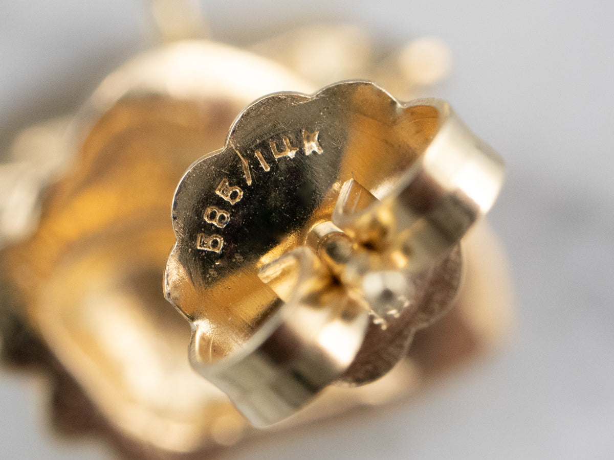 Golden Conch Shell Stud Earrings