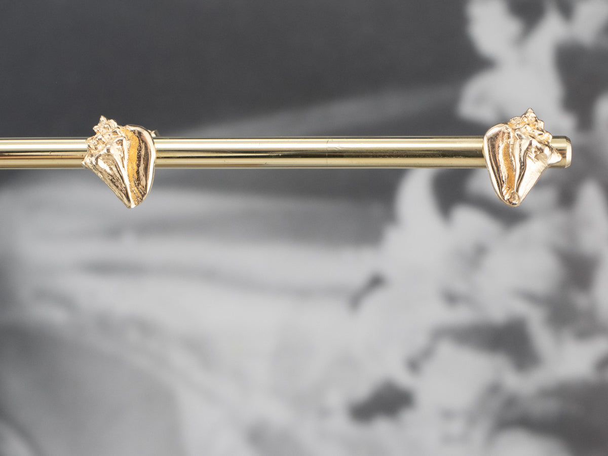 Golden Conch Shell Stud Earrings