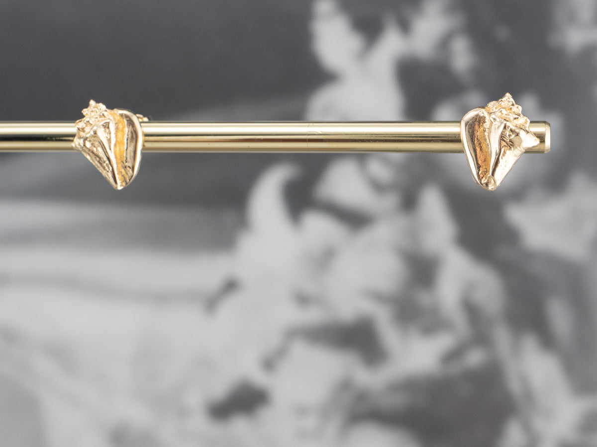 Golden Conch Shell Stud Earrings