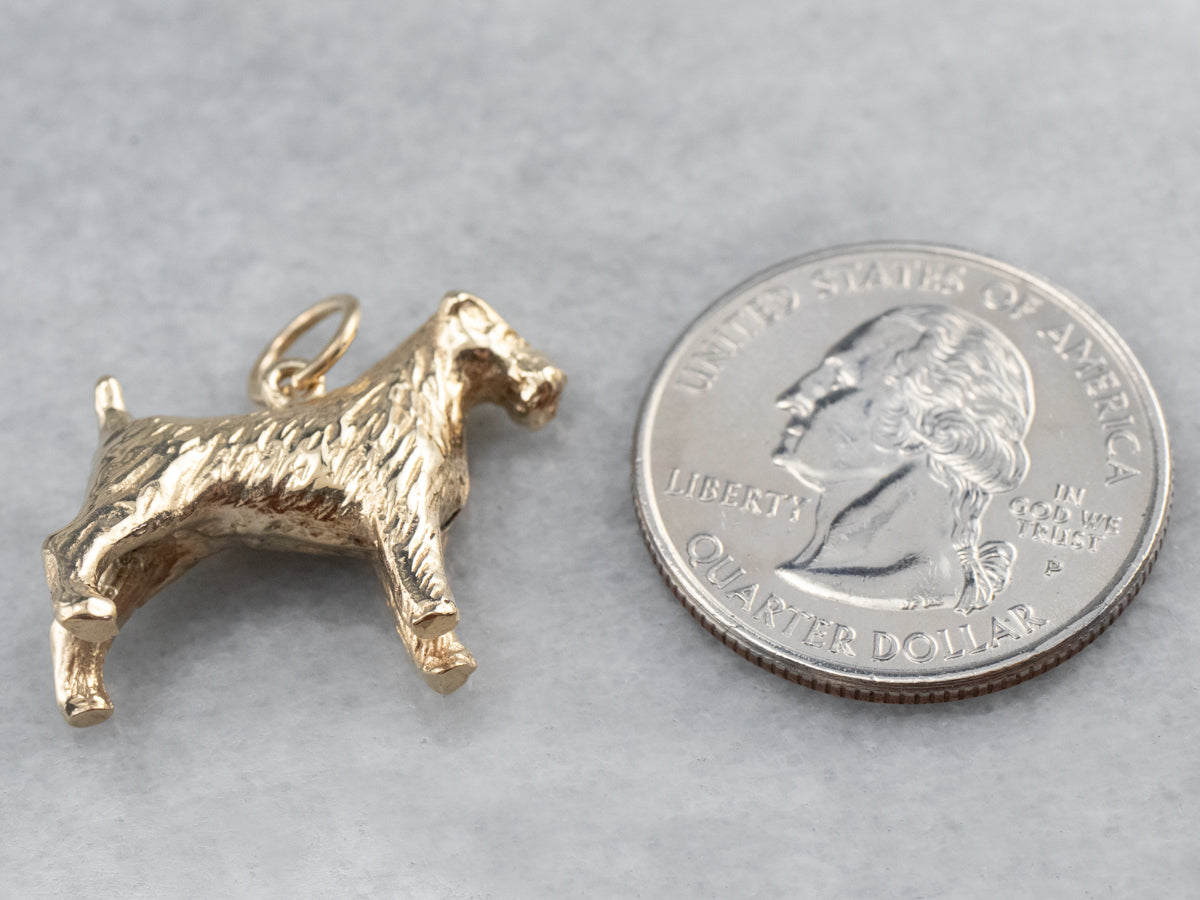 Gold Schnauzer Terrier Dog Charm