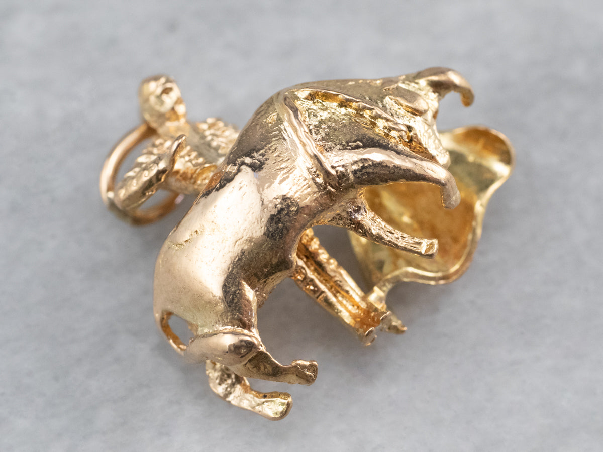 Encanto vintage de matador y toro