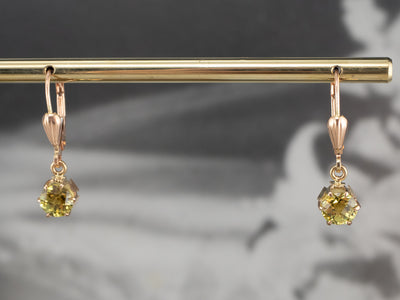 Mali Garnet Rose Gold Drop Earrings