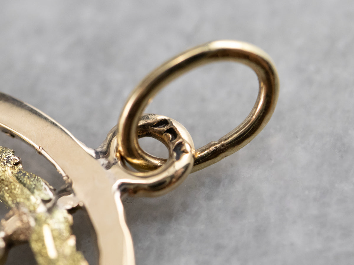 Vintage Masonic Enamel Gold Medallion Pendant