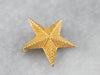 Textured Gold Star Pin