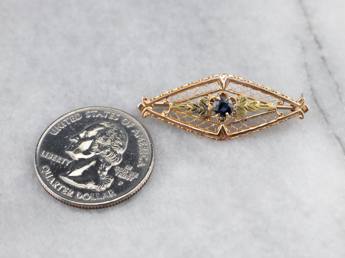 Two Tone Gold Art Nouveau Era Sapphire Pin