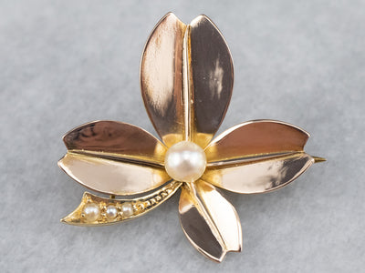 14K Yellow Gold Antique Pearl and Seed Pearl Clover Brooch