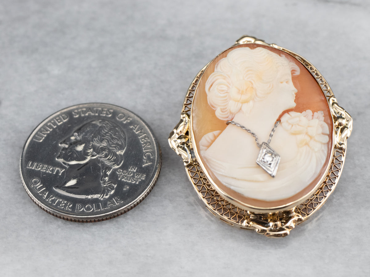 Retro Diamond Cameo Habille Brooch