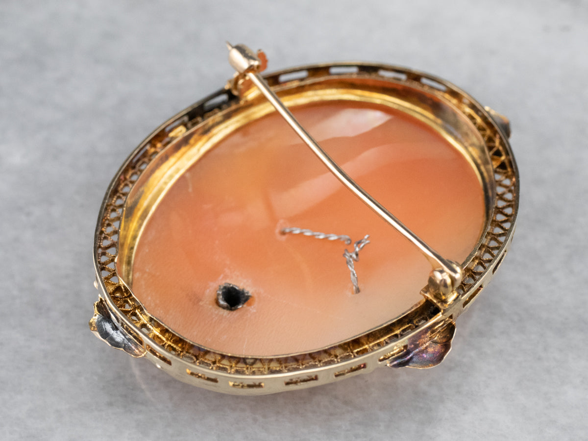 Retro Diamond Cameo Habille Brooch